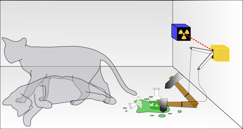 Копенгагенская интерпретация квантовой физики - и в частности этого эксперимента - указывает на то, что кот приобретает свойства одной из потенциальных фаз (живой-мертвый) только после вмешательства в процесс наблюдателя. То есть когда конкретный Шрёдингер открывает ящик, ему со стопроцентной уверенностью придется нарезать колбаски или позвонить ветеринару. Кот будет определенно жив или скоропостижно мертв. Но пока в процессе нет наблюдателя - конкретного человека обладающего несомненными достоинствами в виде зрения, и, как минимум, ясного сознания - кот будет находиться в подвешенном состоянии между небом и землей