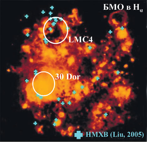 Гигантская оболочка ионизованного водорода LMC 4. Массивных рентгеновских двойных звезд много, а звездообразование в этой области завершилось 10—30 млн лет назад