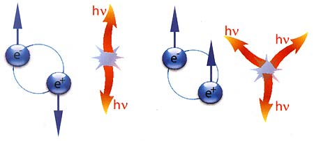 Позитрон и электрон вместе могут образовать подобие атома водорода, где роль протона выполняет позитрон. Такой «атом» называют позитронием. Просуществовав ничтожную долю секунды, позитроний аннигилирует с образованием двух или трёх фотонов, в зависимости от того, как были сориентированы спины частиц в позитронии