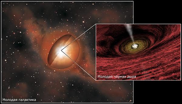 Растущая сверхмассивная чёрная дыра в молодой галактике. Дыра скрывается пылью и газом, но высокоэнергетичное рентгеновское излучение преодолевает этот барьер. (Иллюстрация НАСА / CXC / M. Weiss.)