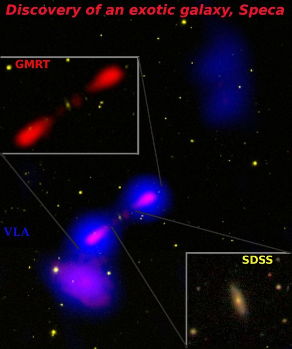 Открытие, сделанное с помощью радиотелескопа GMRT, позднее было подтверждено данными радиотелескопа VLA и оптического телескопа SDSS. (Фото Hota et al., SDSS, NCRA-TIFR, NRAO / AUI / NSF.)